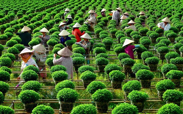 Tour of Mekong River Delta in flood season - ảnh 2